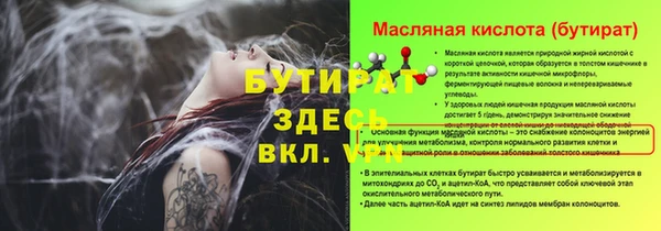 индика Бородино