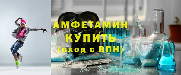 индика Бородино