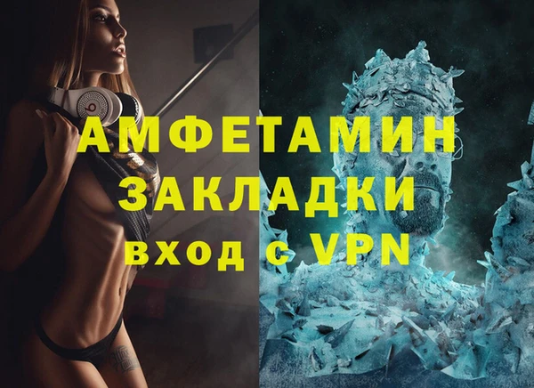 индика Бородино