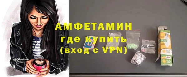 индика Бородино