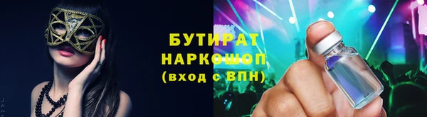 индика Бородино