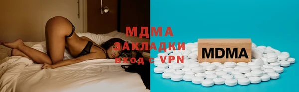 индика Бородино