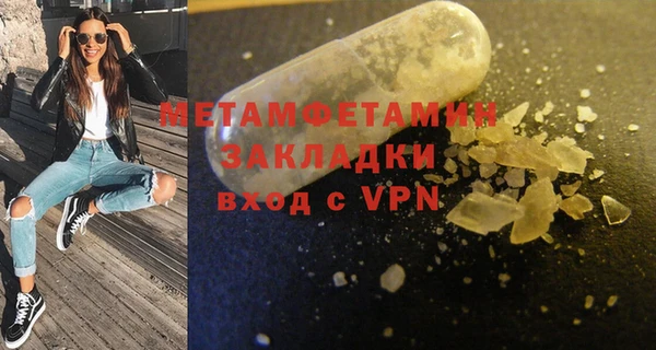 индика Бородино