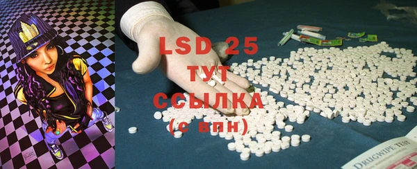 PSILOCYBIN Бронницы
