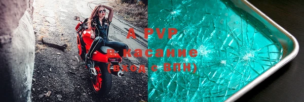 PSILOCYBIN Бронницы
