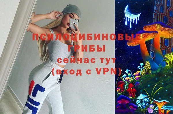PSILOCYBIN Бронницы