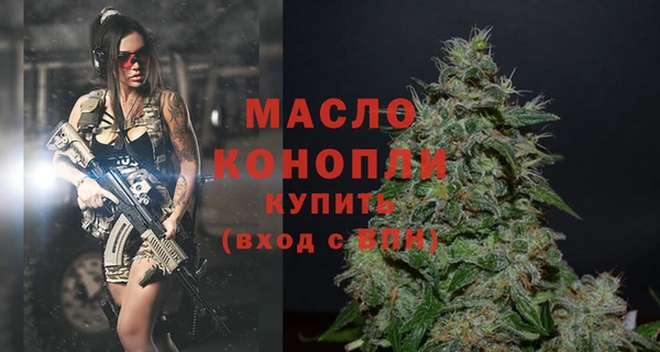 индика Бородино