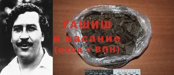 индика Бородино