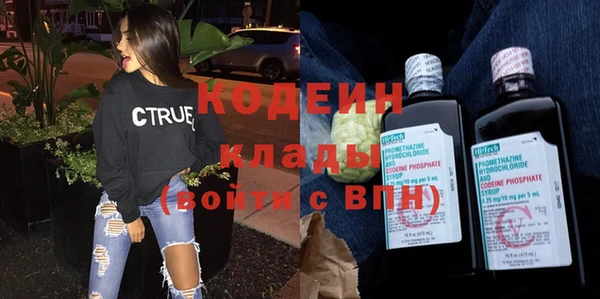 индика Бородино