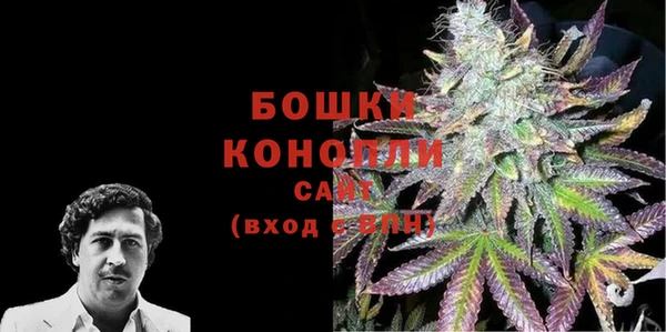 индика Бородино