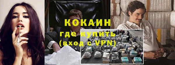 индика Бородино