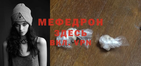 индика Бородино