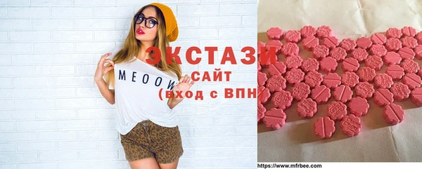 индика Бородино